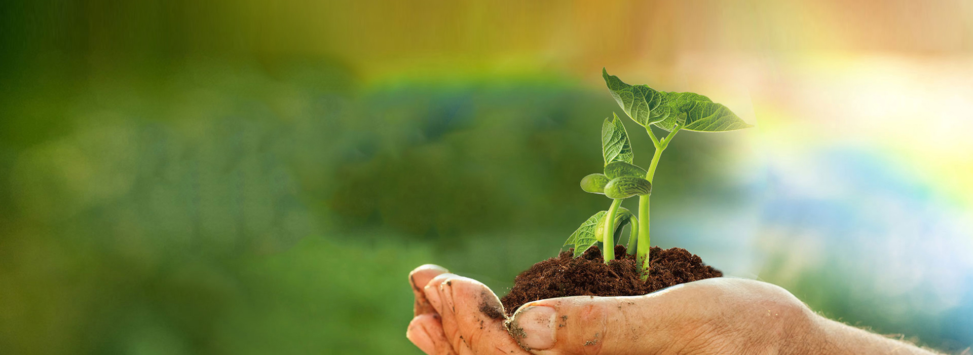 人生就是博·(中国区)官方网站